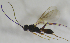  ( - HERSELEB 2016B 009)  @13 [ ] CreativeCommons - Attribution Non-Commercial Share-Alike (2017) Unspecified University of Oslo, Natural History Museum