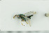  ( - NHMO-DAR-12090)  @13 [ ] CreativeCommons - Attribution Non-Commercial Share-Alike (2017) Unspecified University of Oslo, Natural History Museum