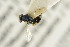  ( - NHMO-DAR-4927)  @12 [ ] CreativeCommons - Attribution Non-Commercial Share-Alike (2015) Unspecified University of Oslo, Natural History Museum