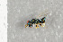  ( - NHMO-DAR-6450)  @12 [ ] CreativeCommons - Attribution Non-Commercial Share-Alike (2015) Unspecified University of Oslo, Natural History Museum