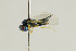  ( - NHMO-DAR-4939)  @11 [ ] CreativeCommons - Attribution Non-Commercial Share-Alike (2015) Unspecified University of Oslo, Natural History Museum