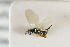  ( - NHMO-DAR-4941)  @11 [ ] CreativeCommons - Attribution Non-Commercial Share-Alike (2015) Unspecified University of Oslo, Natural History Museum