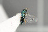  ( - NHMO-DAR-6416)  @13 [ ] CreativeCommons - Attribution Non-Commercial Share-Alike (2015) Unspecified University of Oslo, Natural History Museum