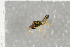  ( - NHMO-DAR-6422)  @11 [ ] CreativeCommons - Attribution Non-Commercial Share-Alike (2015) Unspecified University of Oslo, Natural History Museum