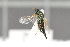  ( - NHMO-DAR-6427)  @12 [ ] CreativeCommons - Attribution Non-Commercial Share-Alike (2015) Unspecified University of Oslo, Natural History Museum