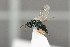  ( - NHMO-DAR-6428)  @13 [ ] CreativeCommons - Attribution Non-Commercial Share-Alike (2015) Unspecified University of Oslo, Natural History Museum