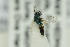  ( - NHMO-DAR-6431)  @11 [ ] CreativeCommons - Attribution Non-Commercial Share-Alike (2015) Unspecified University of Oslo, Natural History Museum