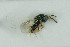  ( - NHMO-DAR-6432)  @12 [ ] CreativeCommons - Attribution Non-Commercial Share-Alike (2015) Unspecified University of Oslo, Natural History Museum