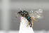  ( - NHMO-DAR-6437)  @13 [ ] CreativeCommons - Attribution Non-Commercial Share-Alike (2015) Unspecified University of Oslo, Natural History Museum