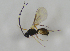  ( - HERSELEB 2016B 078)  @12 [ ] CreativeCommons - Attribution Non-Commercial Share-Alike (2017) Unspecified University of Oslo, Natural History Museum