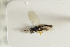  ( - NHMO-DAR-4968)  @12 [ ] CreativeCommons - Attribution Non-Commercial Share-Alike (2015) Unspecified University of Oslo, Natural History Museum