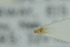  ( - NHMO-DAR-6472)  @11 [ ] CreativeCommons - Attribution Non-Commercial Share-Alike (2015) Unspecified University of Oslo, Natural History Museum