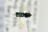  ( - NHMO-DAR-4983)  @11 [ ] CreativeCommons - Attribution Non-Commercial Share-Alike (2015) Unspecified University of Oslo, Natural History Museum
