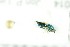  ( - NHMO-DAR-12123)  @13 [ ] CreativeCommons - Attribution Non-Commercial Share-Alike (2017) Unspecified University of Oslo, Natural History Museum