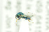  ( - NHMO-DAR-12127)  @13 [ ] CreativeCommons - Attribution Non-Commercial Share-Alike (2017) Unspecified University of Oslo, Natural History Museum