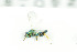  ( - NHMO-DAR-12139)  @13 [ ] CreativeCommons - Attribution Non-Commercial Share-Alike (2017) Unspecified University of Oslo, Natural History Museum