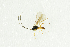  ( - NHMO-ENT-292493)  @13 [ ] CreativeCommons - Attribution Non-Commercial Share-Alike (2018) Unspecified University of Oslo, Natural History Museum