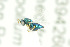  (Pteromalus eudecipiens - NHMO-DAR-12154)  @11 [ ] CreativeCommons - Attribution Non-Commercial Share-Alike (2017) Unspecified University of Oslo, Natural History Museum