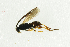  ( - NHMO-ENT-292515)  @13 [ ] CreativeCommons - Attribution Non-Commercial Share-Alike (2018) Unspecified University of Oslo, Natural History Museum