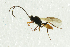  ( - NHMO-ENT-292554)  @12 [ ] CreativeCommons - Attribution Non-Commercial Share-Alike (2018) Unspecified University of Oslo, Natural History Museum