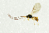  ( - NHMO-ENT-292590)  @13 [ ] CreativeCommons - Attribution Non-Commercial Share-Alike (2018) Unspecified University of Oslo, Natural History Museum
