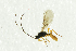  ( - NHMO-ENT-292628)  @12 [ ] CreativeCommons - Attribution Non-Commercial Share-Alike (2018) Unspecified University of Oslo, Natural History Museum