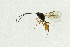  ( - NHMO-ENT-292648)  @12 [ ] CreativeCommons - Attribution Non-Commercial Share-Alike (2018) Unspecified University of Oslo, Natural History Museum