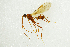  ( - NHMO-ENT-298249)  @12 [ ] CreativeCommons - Attribution Non-Commercial Share-Alike (2018) Unspecified University of Oslo, Natural History Museum