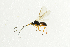 ( - NHMO-ENT-298331)  @12 [ ] CreativeCommons - Attribution Non-Commercial Share-Alike (2018) Unspecified University of Oslo, Natural History Museum