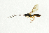  ( - NHMO-ENT-298332)  @13 [ ] CreativeCommons - Attribution Non-Commercial Share-Alike (2018) Unspecified University of Oslo, Natural History Museum