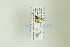  ( - NHMO-DAR-13333)  @12 [ ] CreativeCommons - Attribution Non-Commercial Share-Alike (2017) Unspecified University of Oslo, Natural History Museum