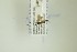  ( - NHMO-DAR-13256)  @12 [ ] CreativeCommons - Attribution Non-Commercial Share-Alike (2017) Unspecified University of Oslo, Natural History Museum