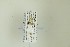  ( - NHMO-DAR-13210)  @12 [ ] CreativeCommons - Attribution Non-Commercial Share-Alike (2017) Unspecified University of Oslo, Natural History Museum