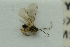  ( - NHMO-ENT-293051)  @12 [ ] CreativeCommons - Attribution Non-Commercial Share-Alike (2018) Unspecified University of Oslo, Natural History Museum
