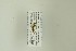  ( - NHMO-DAR-12934)  @12 [ ] CreativeCommons - Attribution Non-Commercial Share-Alike (2017) Unspecified University of Oslo, Natural History Museum