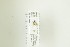  ( - NHMO-DAR-13022)  @11 [ ] CreativeCommons - Attribution Non-Commercial Share-Alike (2017) Unspecified University of Oslo, Natural History Museum