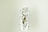 ( - NHMO-DAR-13024)  @12 [ ] CreativeCommons - Attribution Non-Commercial Share-Alike (2017) Unspecified University of Oslo, Natural History Museum
