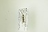  ( - NHMO-DAR-13051)  @12 [ ] CreativeCommons - Attribution Non-Commercial Share-Alike (2017) Unspecified University of Oslo, Natural History Museum
