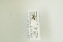  ( - NHMO-DAR-12899)  @12 [ ] CreativeCommons - Attribution Non-Commercial Share-Alike (2017) Unspecified University of Oslo, Natural History Museum