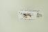  ( - NHMO-DAR-12914)  @12 [ ] CreativeCommons - Attribution Non-Commercial Share-Alike (2017) Unspecified University of Oslo, Natural History Museum