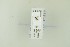  ( - NHMO-DAR-13127)  @11 [ ] CreativeCommons - Attribution Non-Commercial Share-Alike (2017) Unspecified University of Oslo, Natural History Museum