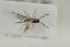 ( - HYMNI1602)  @11 [ ] CreativeCommons - Attribution Non-Commercial Share-Alike (2016) Arnstein Staverlokk Norwegian Institute of Nature Research