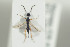  ( - HYMNI1415)  @11 [ ] CreativeCommons - Attribution Non-Commercial Share-Alike (2016) Arnstein Staverlokk Norwegian Institute of Nature Research