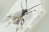  ( - HYMNI1439)  @11 [ ] CreativeCommons - Attribution Non-Commercial Share-Alike (2016) Arnstein Staverlokk Norwegian Institute of Nature Research