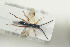  ( - HYMNI1494)  @12 [ ] CreativeCommons - Attribution Non-Commercial Share-Alike (2016) Arnstein Staverlokk Norwegian Institute of Nature Research