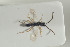  ( - HYMNI1501)  @12 [ ] CreativeCommons - Attribution Non-Commercial Share-Alike (2016) Arnstein Staverlokk Norwegian Institute of Nature Research