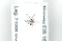  ( - HYMNI2495)  @12 [ ] CreativeCommons - Attribution Non-Commercial Share-Alike (2018) Arnstein Staverlokk Norwegian Institute of Nature Research