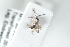  ( - HYMNI2520)  @11 [ ] CreativeCommons - Attribution Non-Commercial Share-Alike (2018) Arnstein Staverlokk Norwegian Institute of Nature Research