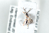  ( - HYMNI2531)  @11 [ ] CreativeCommons - Attribution Non-Commercial Share-Alike (2018) Arnstein Staverlokk Norwegian Institute of Nature Research