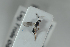  ( - HYMNI2551)  @11 [ ] CreativeCommons - Attribution Non-Commercial Share-Alike (2018) Arnstein Staverlokk Norwegian Institute of Nature Research